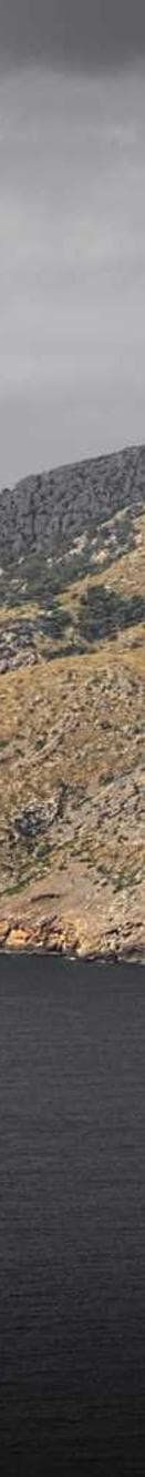 abbott, turcotte and balistreri