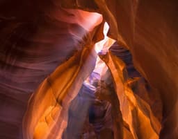 nienow, abbott and lemke