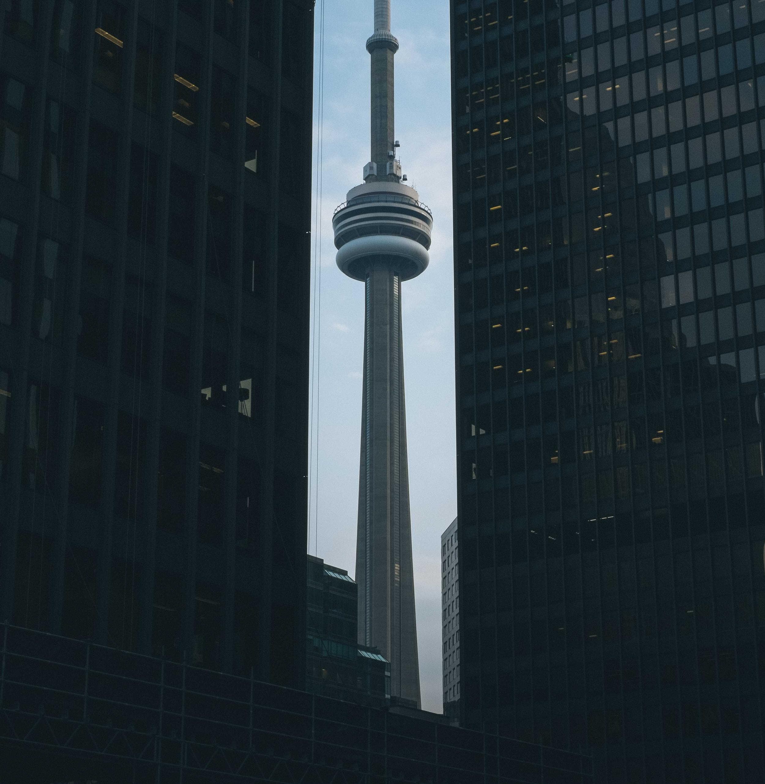 grady, nader and erdman